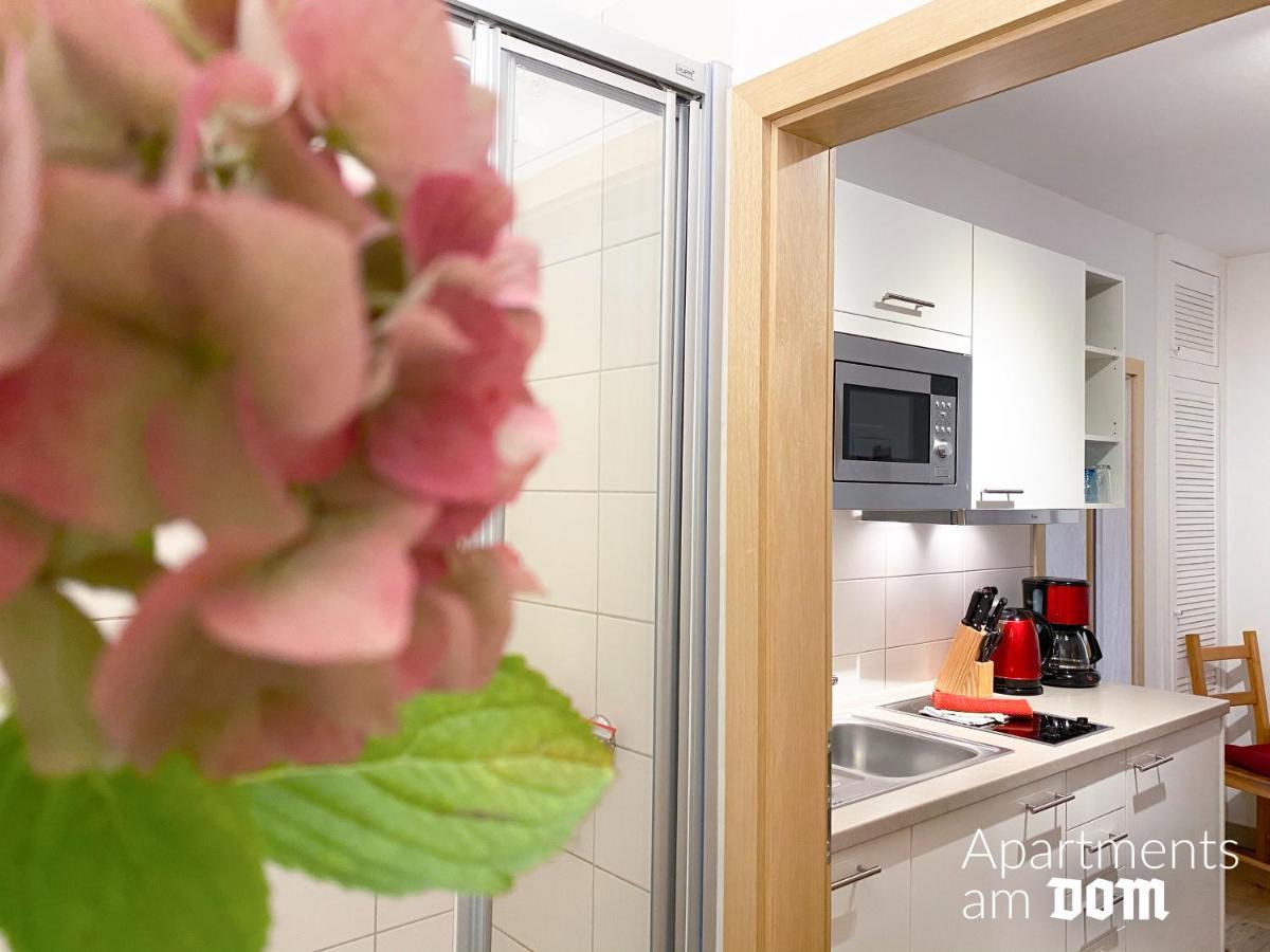 Am Dom Apartment Naumburg (Saale)